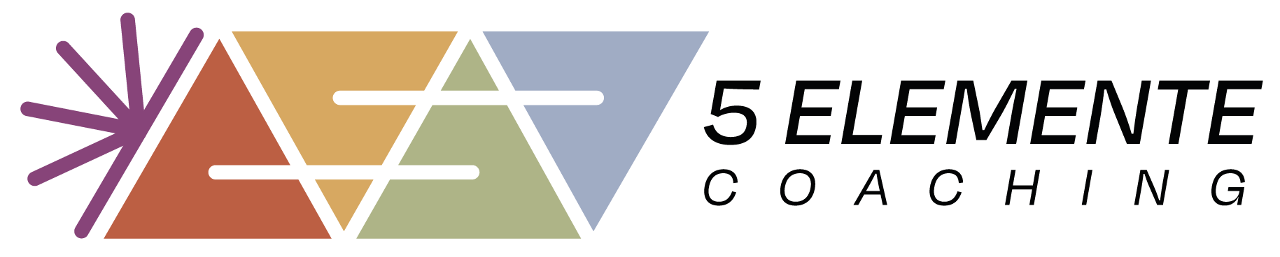 Fünf Elemente Coaching