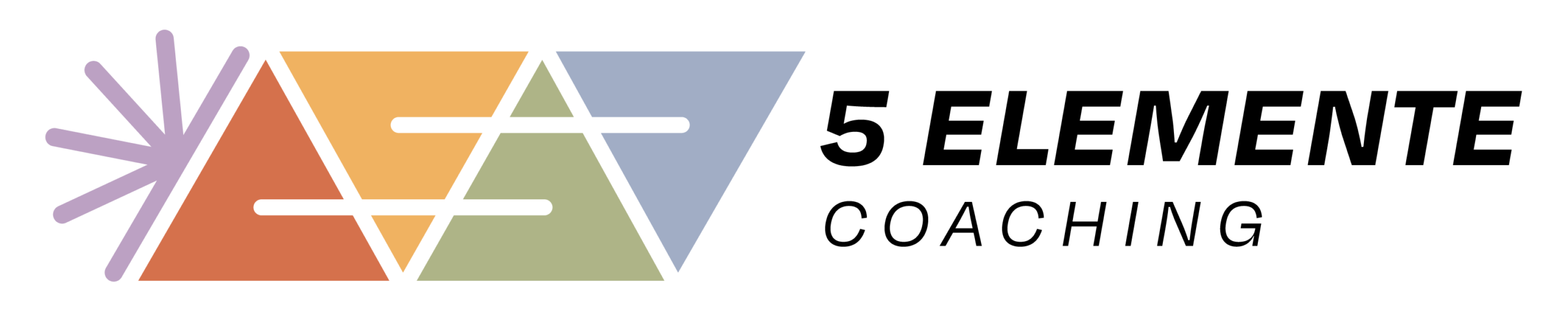 Fünf Elemente Coaching